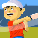 Street cricket