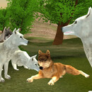 Wild wolves hunger attack